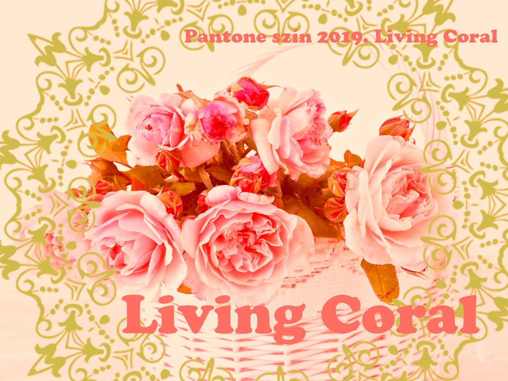 Élő korall 2019 év színe - Pantone Living coral Élő korall 2019 év színe - Pantone Living coral