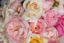 Szép, színes ám egységet alkotó virágcsokor - ilyen a honlap, ha tudod mit szeretnél